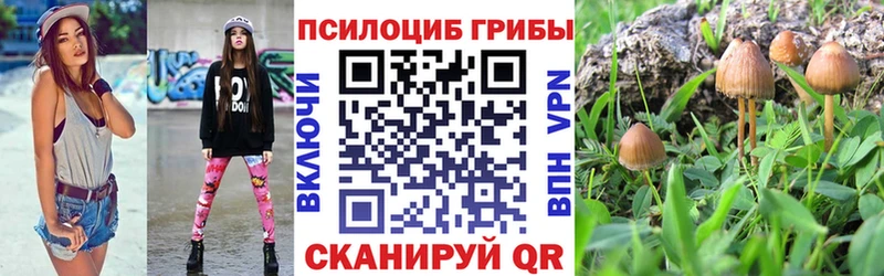 Псилоцибиновые грибы прущие грибы  кракен зеркало  Усть-Катав 